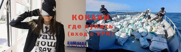 амф Новозыбков