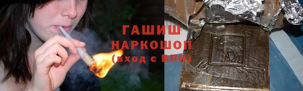 амф Новозыбков