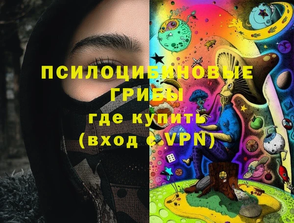 ПСИЛОЦИБИНОВЫЕ ГРИБЫ Ельня