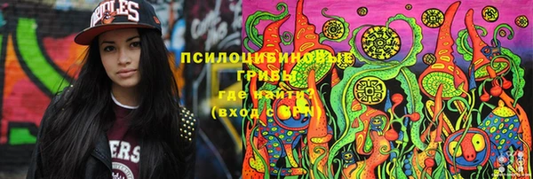 ПСИЛОЦИБИНОВЫЕ ГРИБЫ Ельня