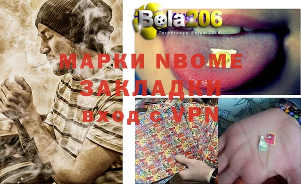 амф Новозыбков
