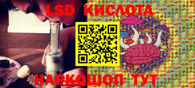 jwh Кингисепп