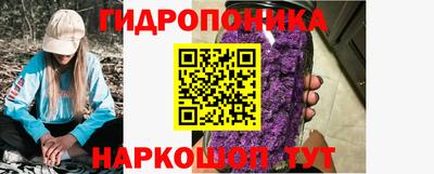 jwh Кингисепп