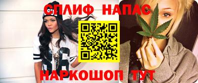 jwh Кингисепп