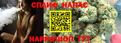 jwh Кингисепп