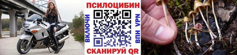 Галлюциногенные грибы GOLDEN TEACHER  Печора 