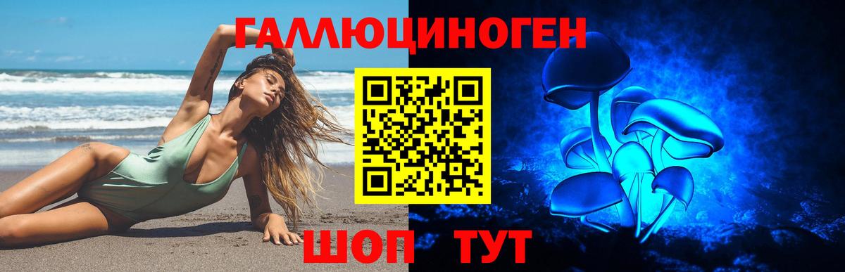 Псилоцибиновые грибы GOLDEN TEACHER Печора